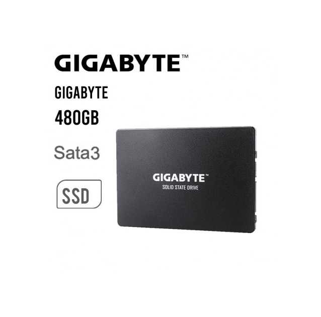DISCO SÓLIDO SSD INTERNO GIGABYTE GP-GSTFS31480GNTD 480GB