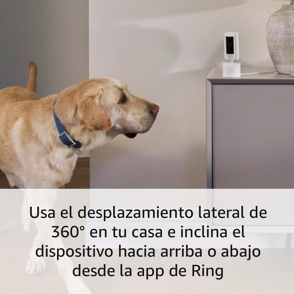 Cámara De Seguridad Ring Pan-tilt Indoor Cam 2024 Blanca