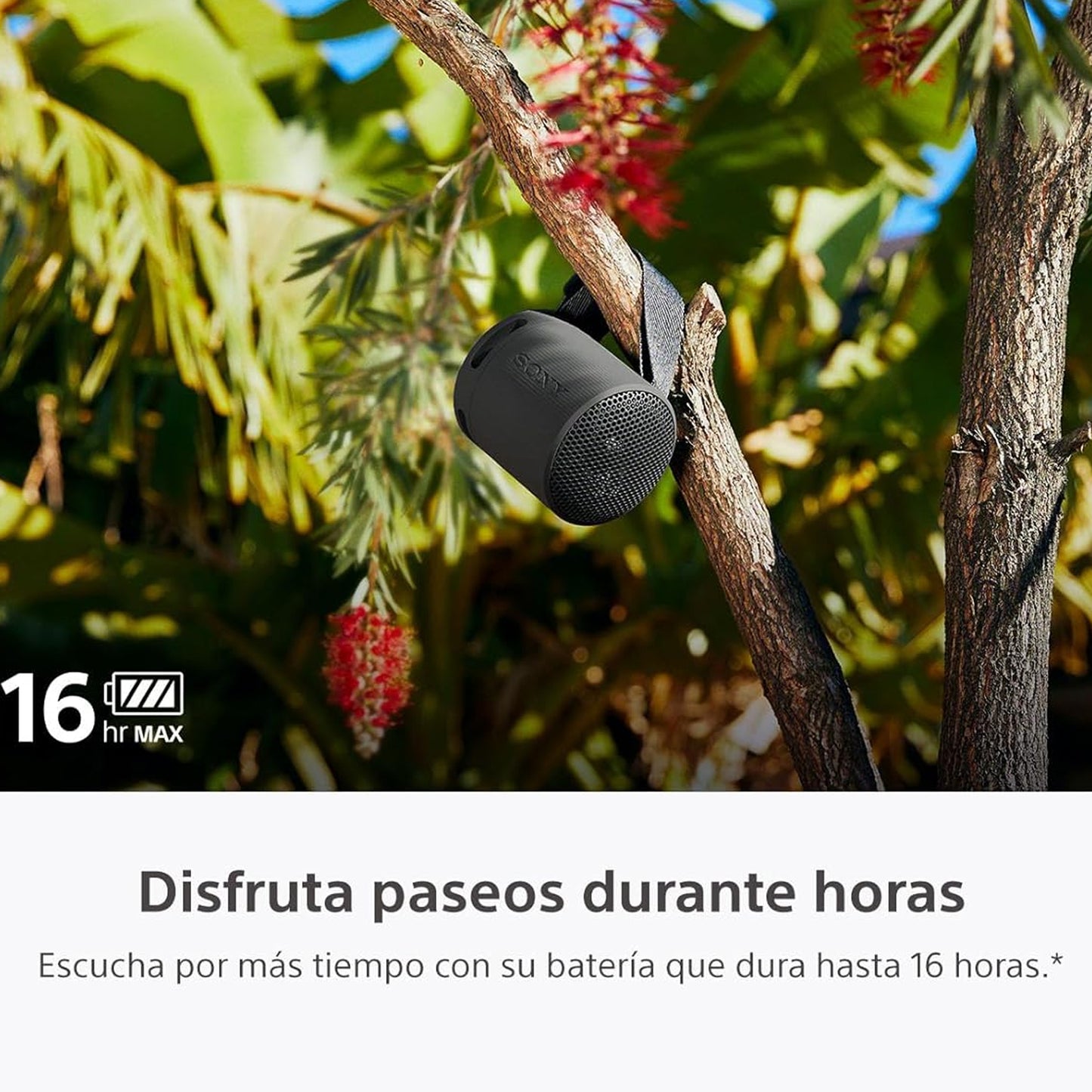 Bocina Portátil Sony XB100 Inalámbrica